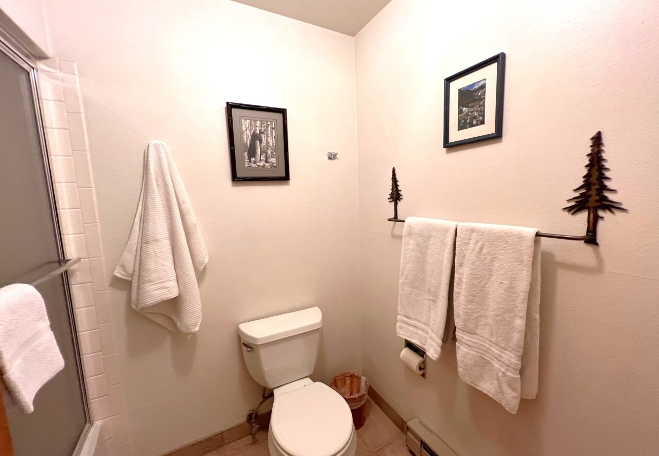 Condominium in Breckenridge - Walk to Main St+ Snowflake Lift, Pool + Hot Tubs 