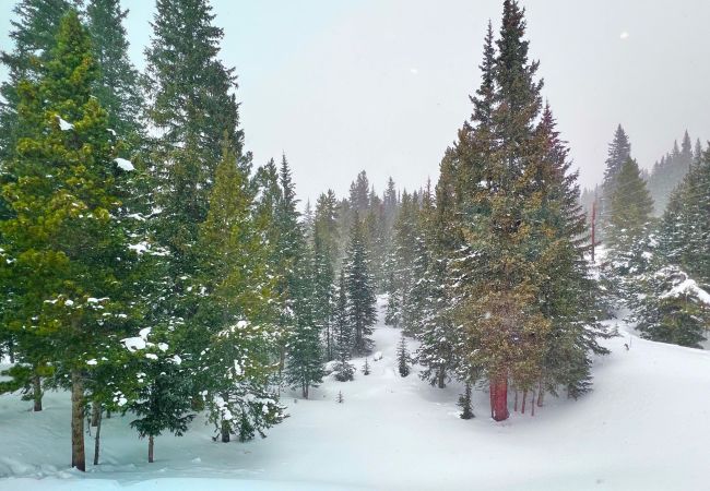 House in Breckenridge - Mtn. Home Private Hot Tub Near Breck Slopes+Hikes House in Breckenridge - Mtn. Home Private Hot Tub Near Breck Slopes+Hikes