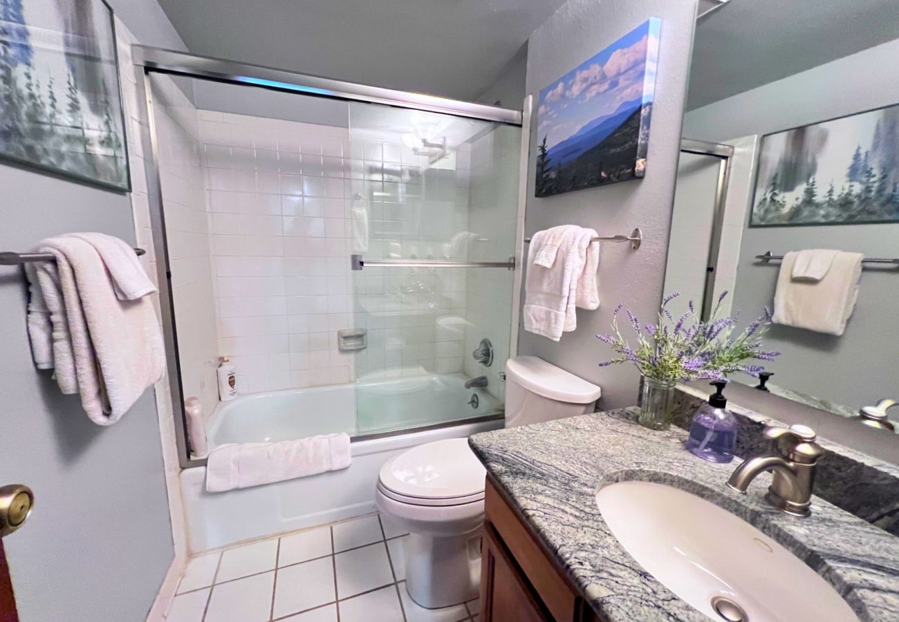Condominium in Breckenridge - Ski in/out ON 4O’clock Run Play in Pool+Hot Tubs