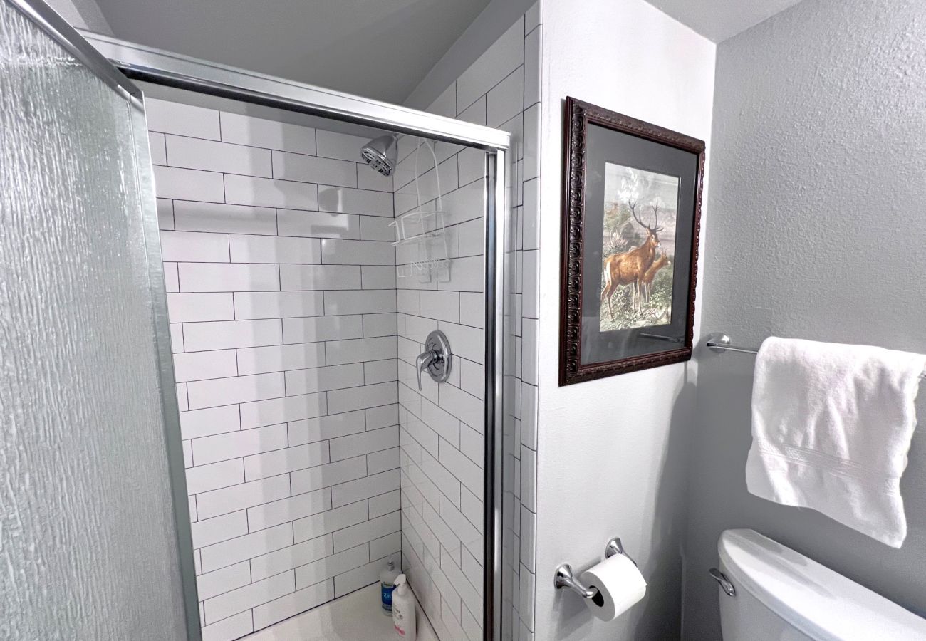 Condominium in Breckenridge - Ski in/out ON 4O’clock Run Play in Pool+Hot Tubs
