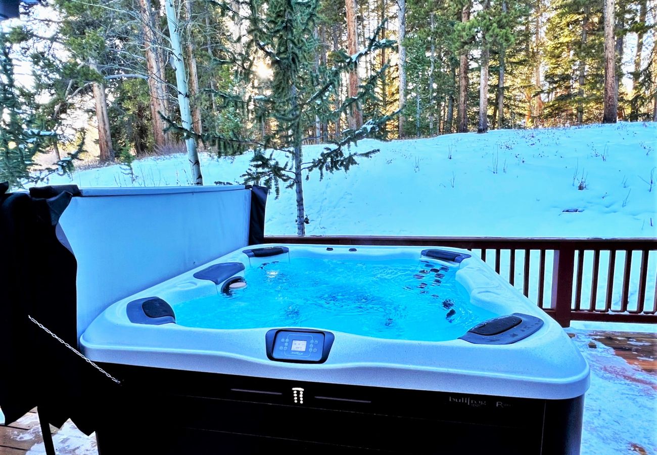 Townhouse in Breckenridge - Ski In-Out to 4 Oclock Run Breck! Private Hot Tub 