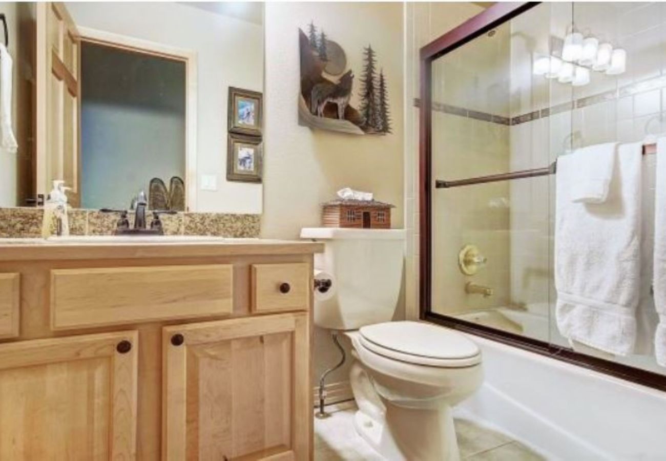 Townhouse in Breckenridge - Ski In-Out to 4 Oclock Run Breck! Private Hot Tub 