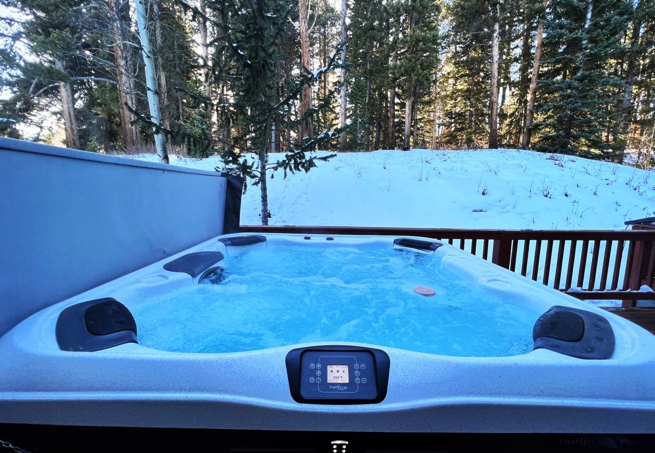Townhouse in Breckenridge - Ski In-Out to 4 Oclock Run Breck! Private Hot Tub 