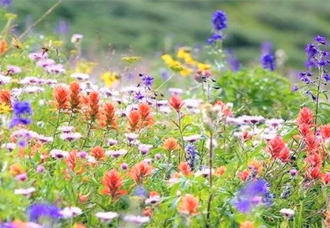 Condominium in Breckenridge - Park Place Aspen Condo • Walk to Main St. • Snowflake Lift • Pool+Hot Tubs Condominium in Breckenridge - Park Place Aspen Condo • Walk to Main St. • Snowflake Lift • Pool+Hot Tubs