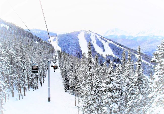 Condominium in Breckenridge - Park Place Aspen Condo • Walk to Main St. • Snowflake Lift • Pool+Hot Tubs Condominium in Breckenridge - Park Place Aspen Condo • Walk to Main St. • Snowflake Lift • Pool+Hot Tubs