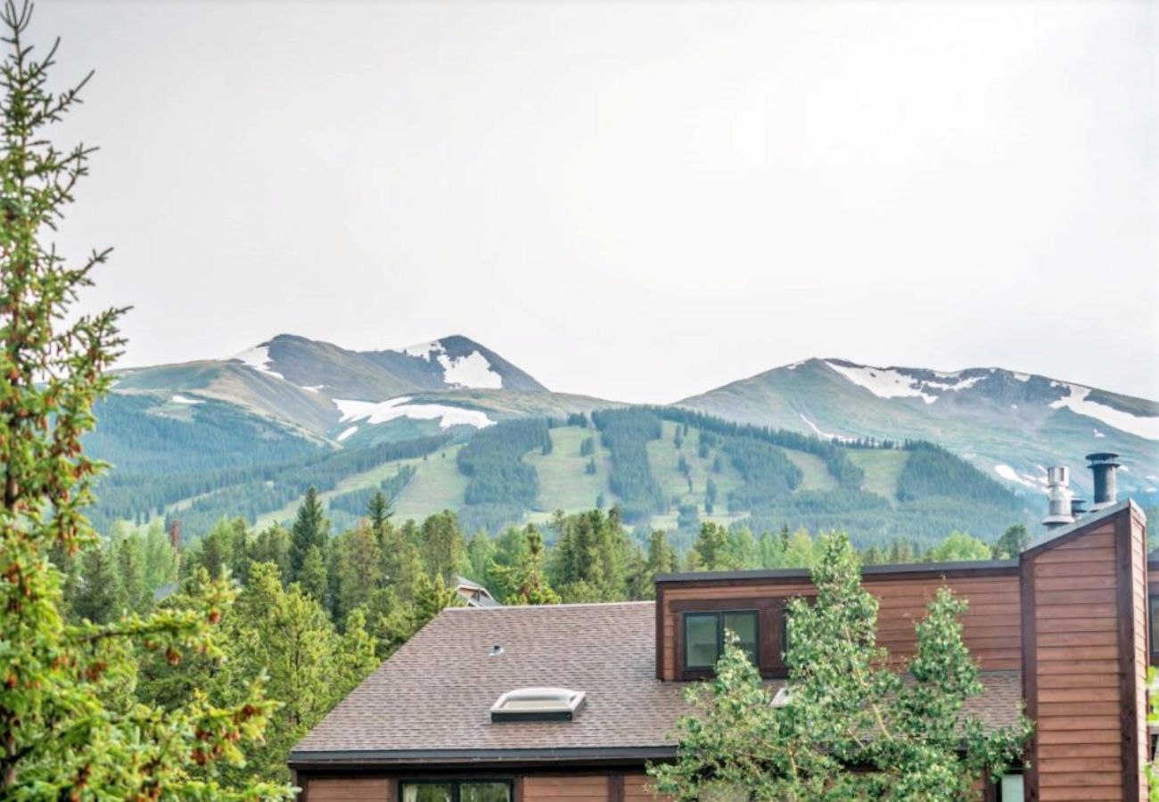 Condominium in Breckenridge - Retro Condo Near Snow Flake Lift  Pool+Hot Tubs