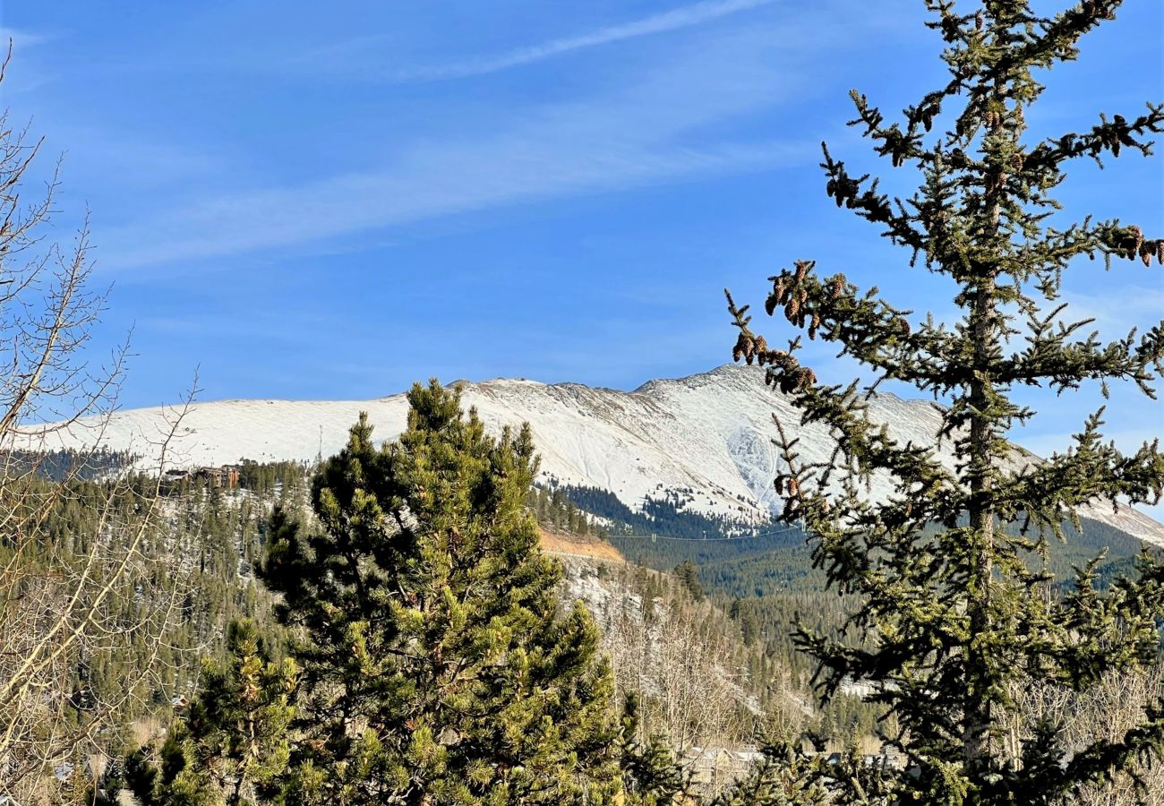 Condominium in Breckenridge - Retro Condo Near Snow Flake Lift  Pool+Hot Tubs