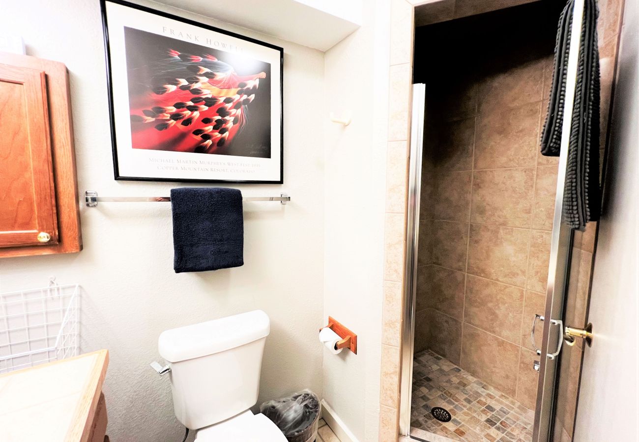 Townhouse in Breckenridge - Walk to Main St. Breck Snowflake Lift Pool+Hot tubs