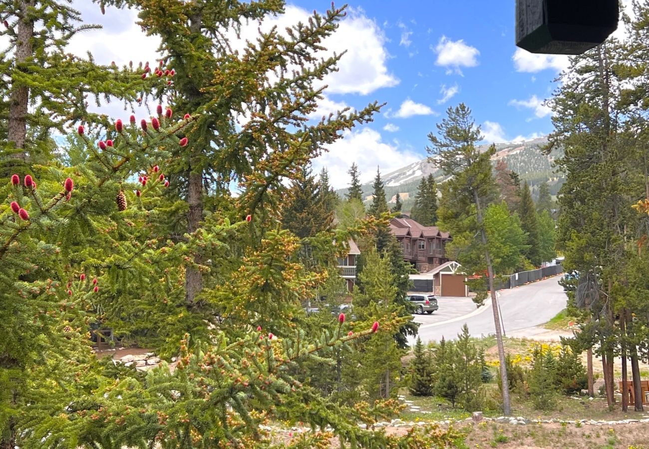 Condominium in Breckenridge - Ski-In 4 O'clock Run Walk to Main St Hot Tub Play!