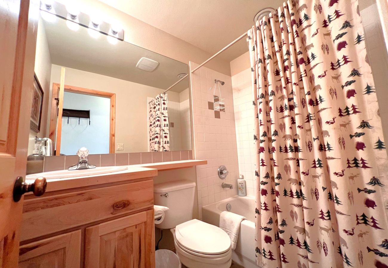 Condominium in Breckenridge - Ski-In 4 O'clock Run Walk to Main St Hot Tub Play!