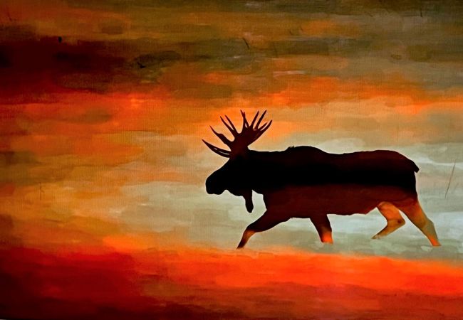 Condominium in Breckenridge - Twin Elk Mount Lincoln Condo • Ski-In • Hot Tub • Walk to Main St!  Condominium in Breckenridge - Twin Elk Mount Lincoln Condo • Ski-In • Hot Tub • Walk to Main St!