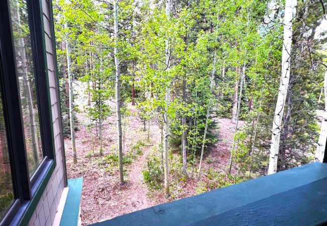 Condominium in Breckenridge - Twin Elk Mount Lincoln Condo • Ski-In • Hot Tub • Walk to Main St!  Condominium in Breckenridge - Twin Elk Mount Lincoln Condo • Ski-In • Hot Tub • Walk to Main St!