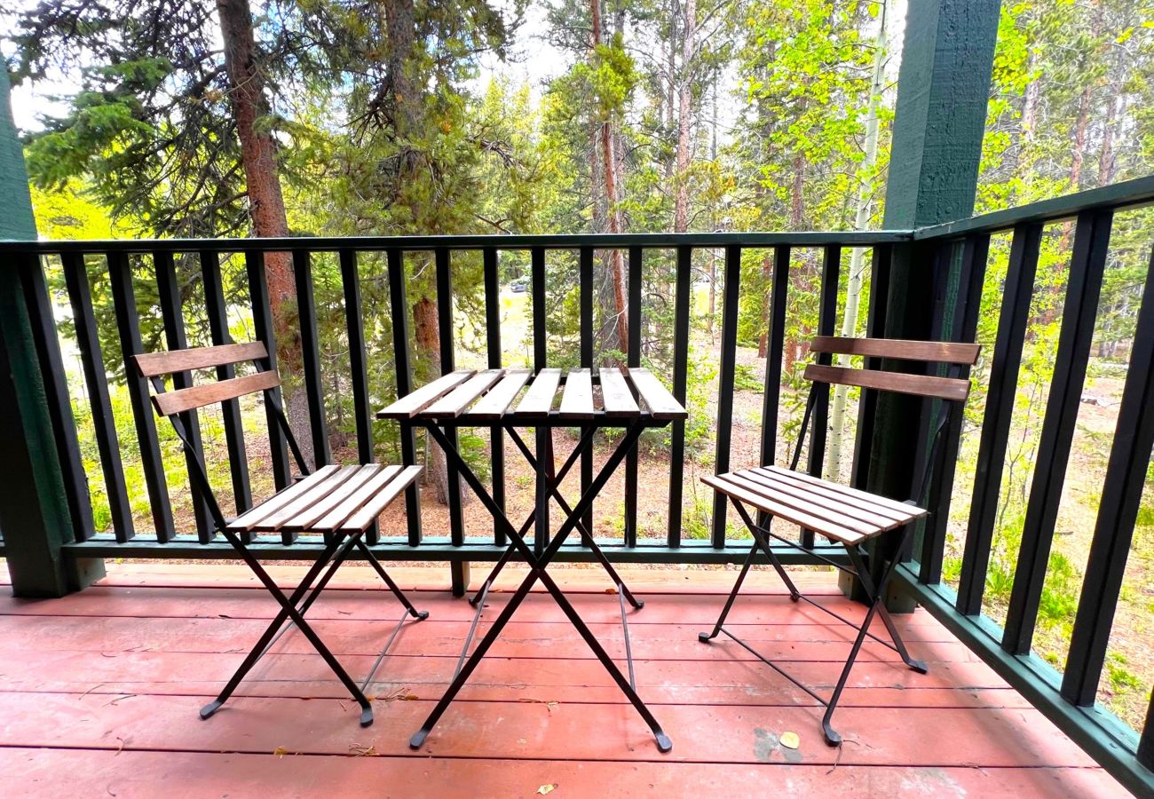 Condominium in Breckenridge - Ski-In 4 O'clock Run Soak-Hot Tub Walk to Main St! 
