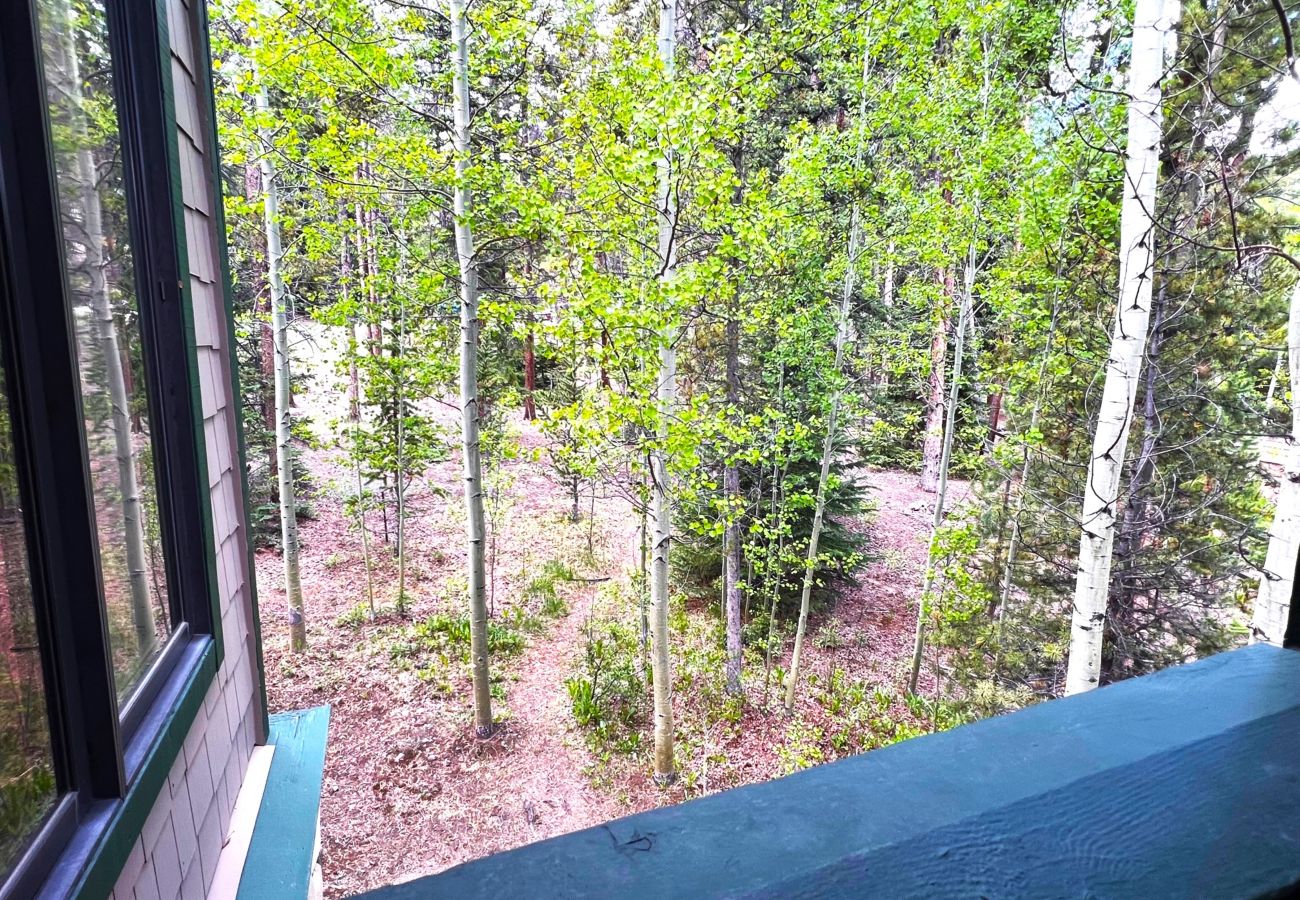 Condominium in Breckenridge - Ski-In 4 O'clock Run Soak-Hot Tub Walk to Main St! 