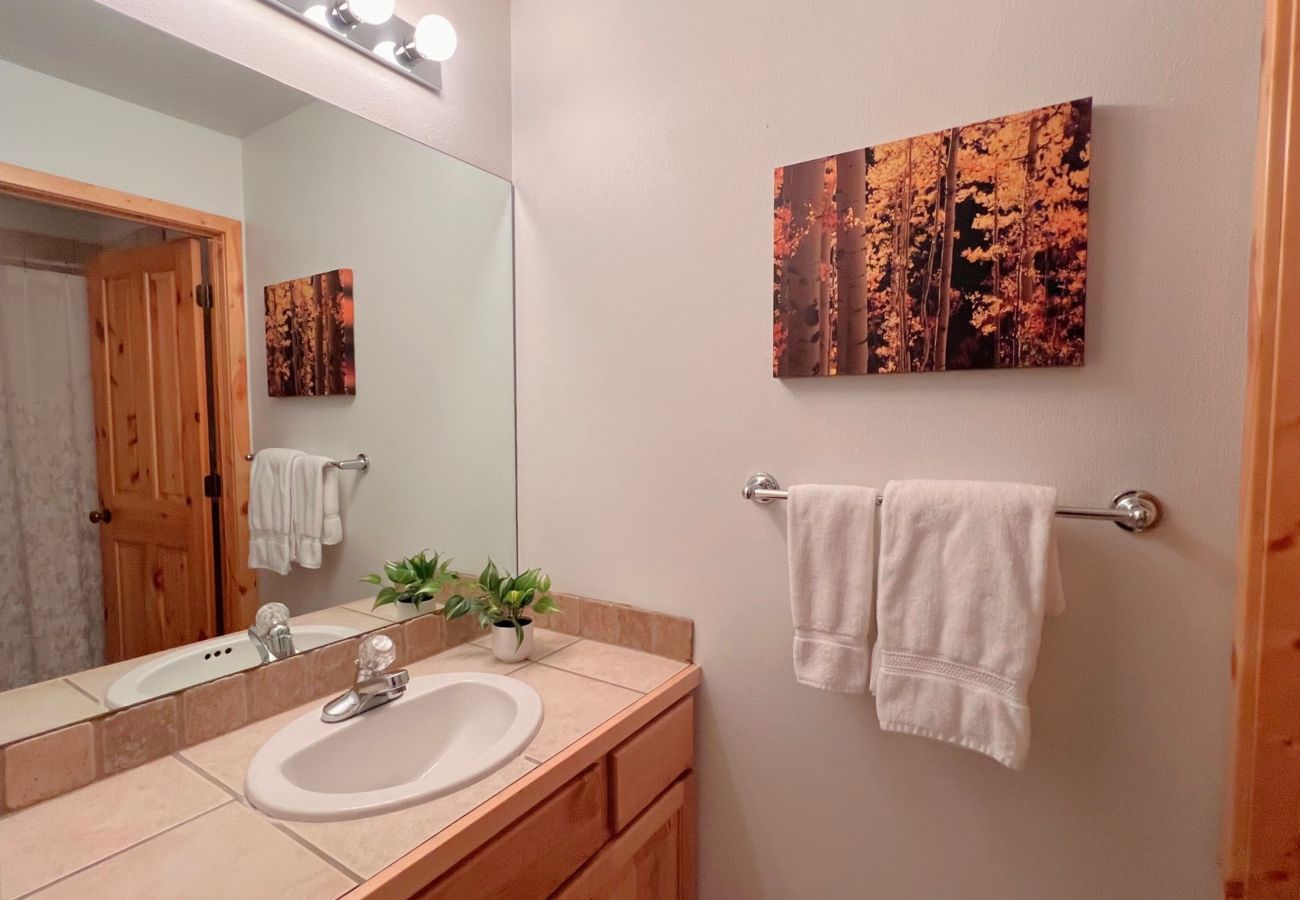 Condominium in Breckenridge - Ski-In 4 O'clock Run Soak-Hot Tub Walk to Main St! 