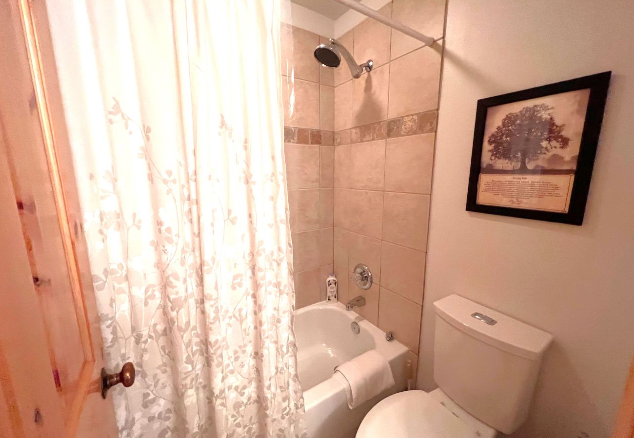 Condominium in Breckenridge - Ski-In 4 O'clock Run Soak-Hot Tub Walk to Main St! 