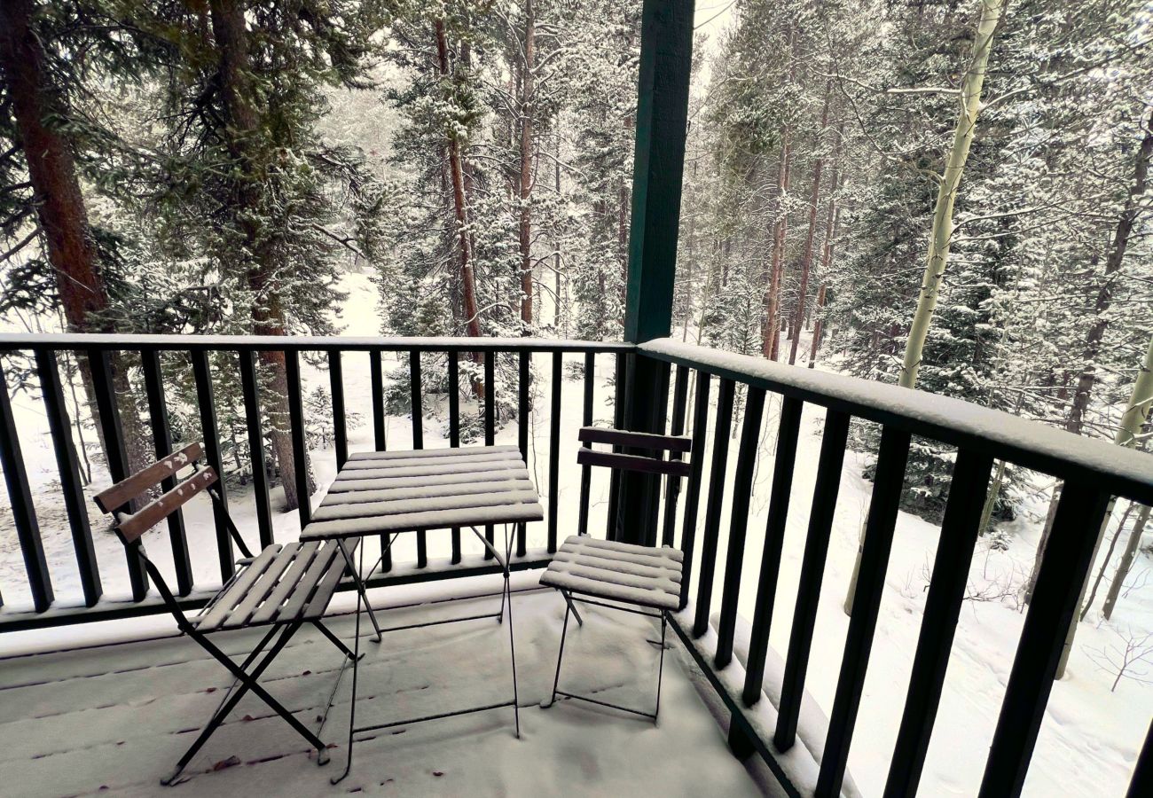 Condominium in Breckenridge - Ski-In 4 O'clock Run Soak-Hot Tub Walk to Main St! 