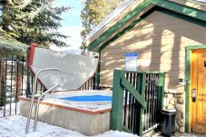 Condominium in Breckenridge - Twin Elk Mount Lincoln Condo • Ski-In • Hot Tub • Walk to Main St!  Condominium in Breckenridge - Twin Elk Mount Lincoln Condo • Ski-In • Hot Tub • Walk to Main St!