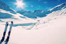 House in Breckenridge - Twin Elk Mount Cameron Condo • Ski-In • Hot Tub • Walk to Town House in Breckenridge - Twin Elk Mount Cameron Condo • Ski-In • Hot Tub • Walk to Town