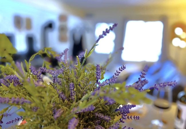 Townhouse in Breckenridge - Baldy Mountain Basecamp - Pet Friendly! - Free Shuttle Access Townhouse in Breckenridge - Baldy Mountain Basecamp - Pet Friendly! - Free Shuttle Access