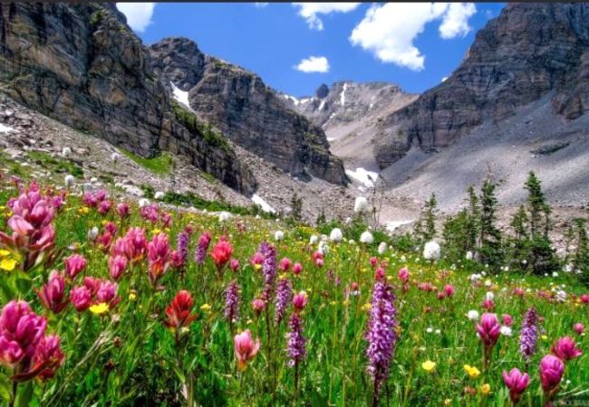 Townhouse in Breckenridge - Baldy Mountain Basecamp - Pet Friendly! - Free Shuttle Access Townhouse in Breckenridge - Baldy Mountain Basecamp - Pet Friendly! - Free Shuttle Access