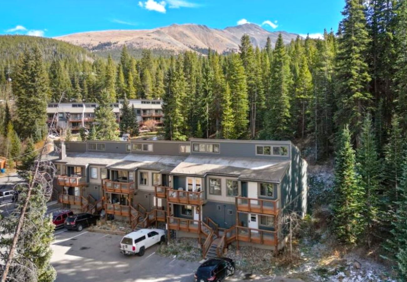 Townhouse in Breckenridge - Cozy Condo FREE Short Shuttle Ride to Ski Breck!