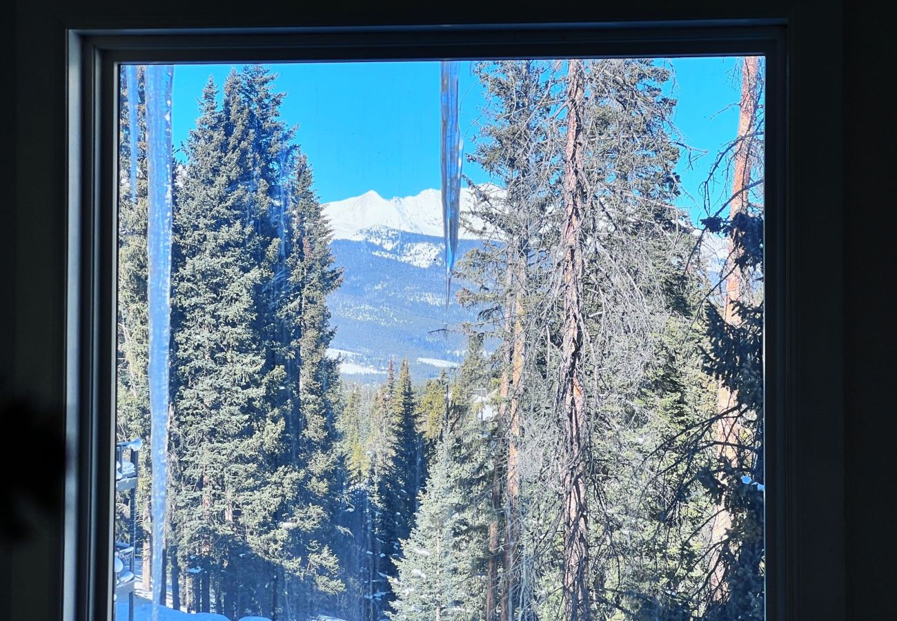 Townhouse in Breckenridge - Cozy Condo FREE Short Shuttle Ride to Ski Breck!