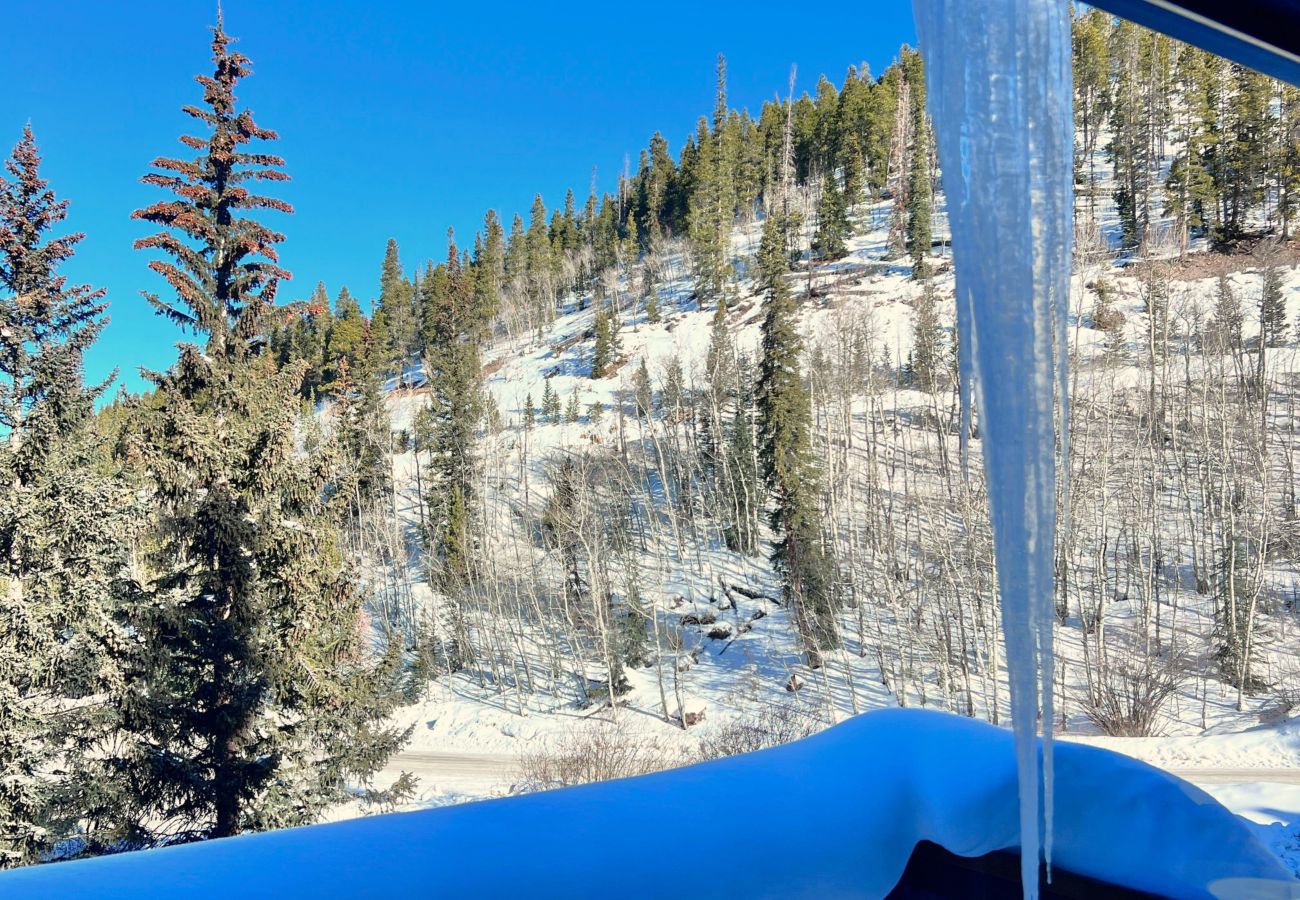 Townhouse in Breckenridge - Cozy Condo FREE Short Shuttle Ride to Ski Breck!