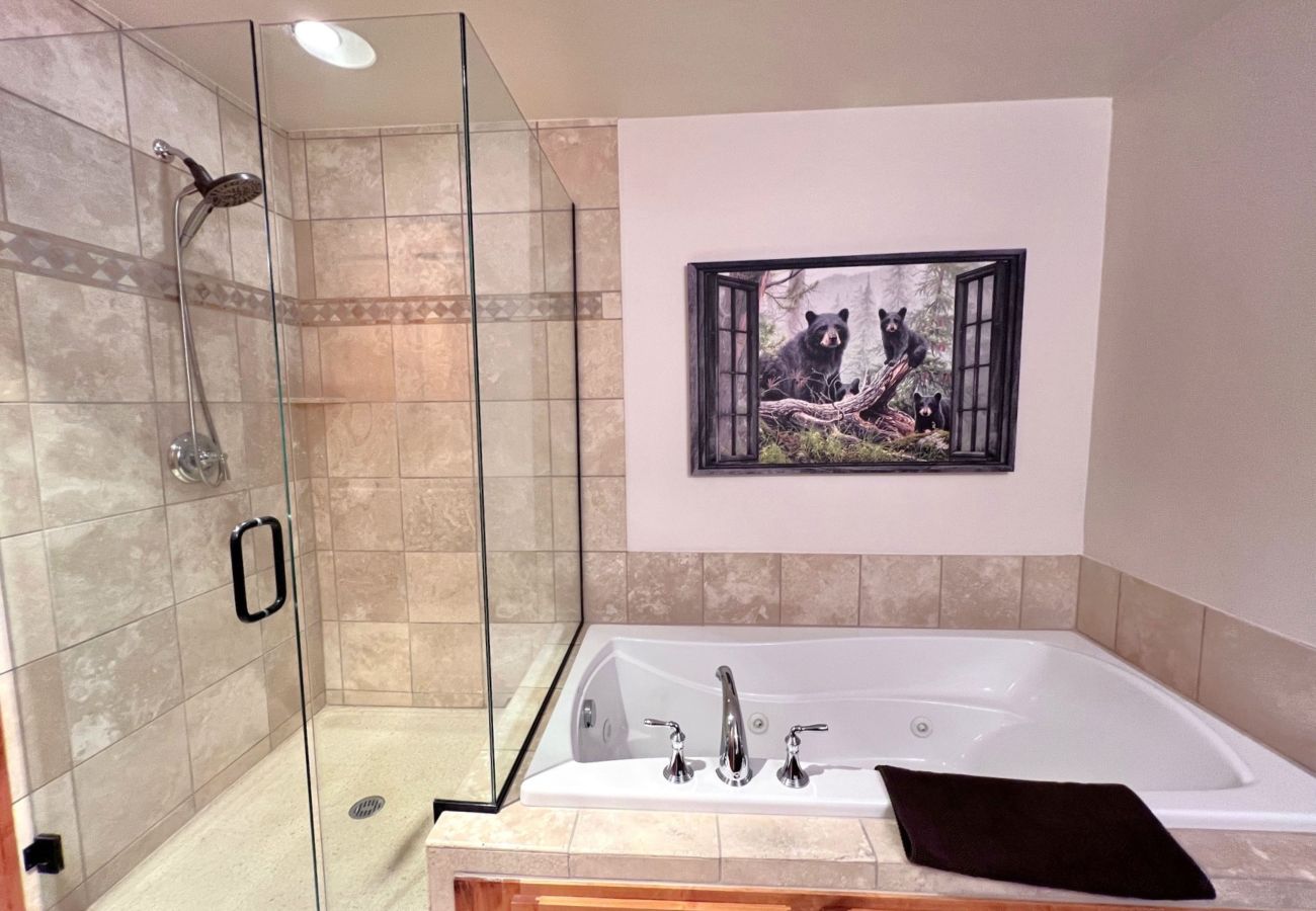 Condominium in Frisco - Frisco: Mtn Views, Hot Tubs, Bike Path, Village