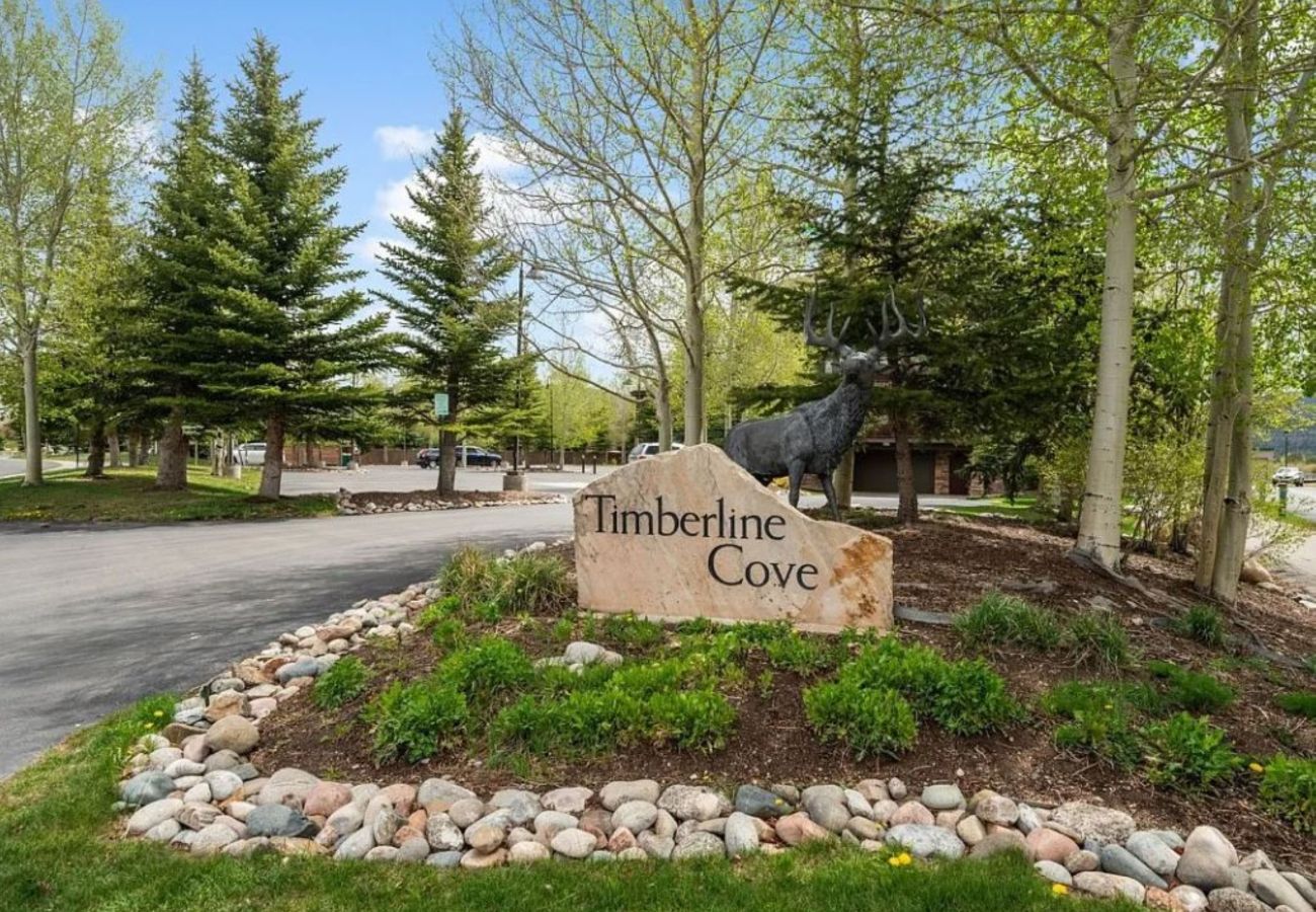 Condominium in Frisco - Frisco: Mtn Views, Hot Tubs, Bike Path, Village