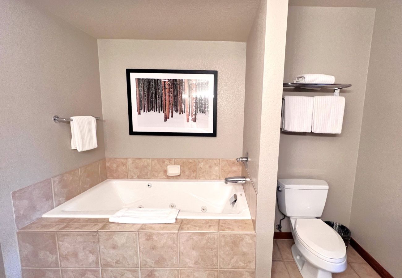 Condominium in Breckenridge - Main St Station in Breck: Ski Hike Swim Rest Play