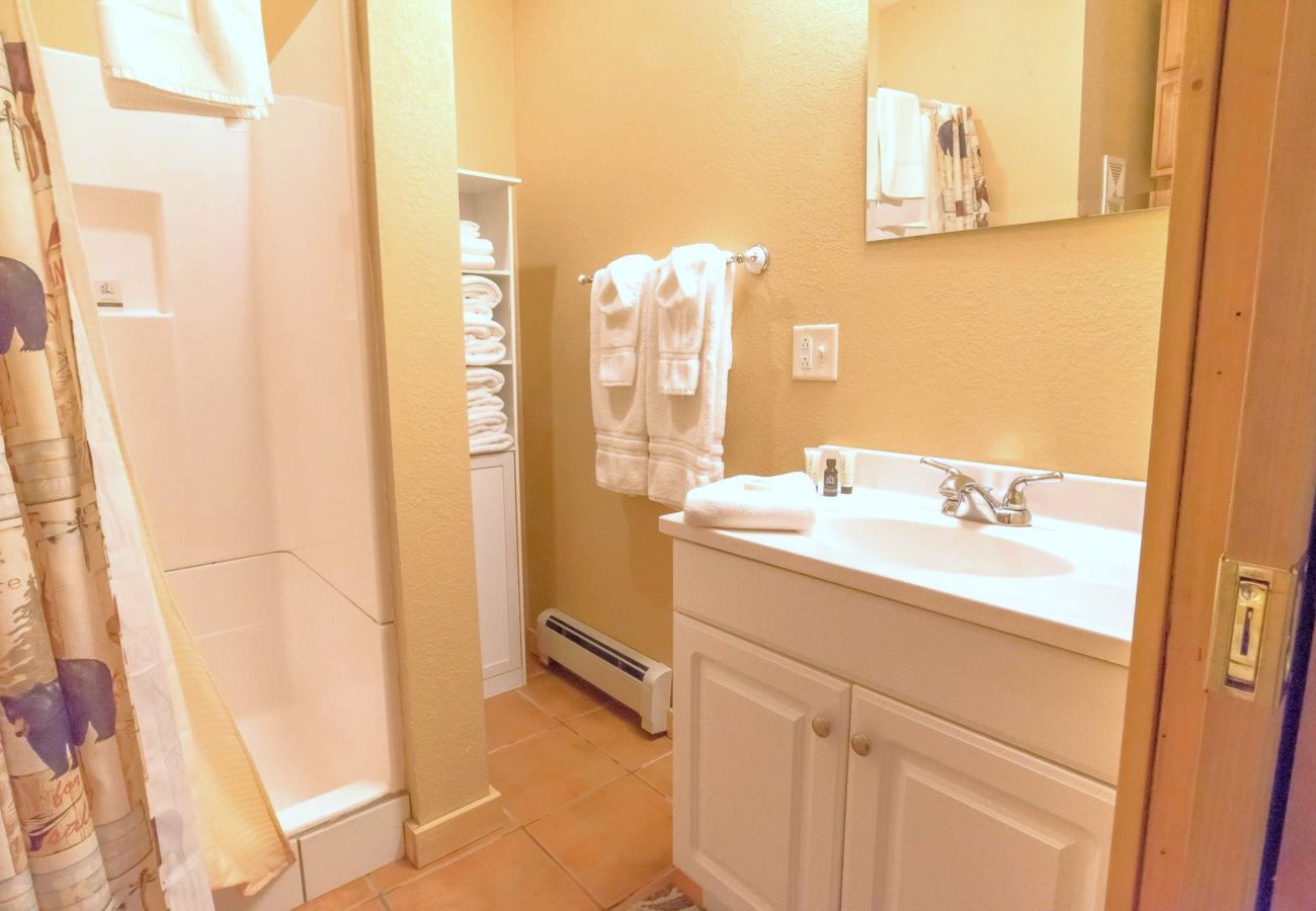 House in Frisco - Mtn Meadow Lodge, Hot Tub - Hike, Ski, Play!