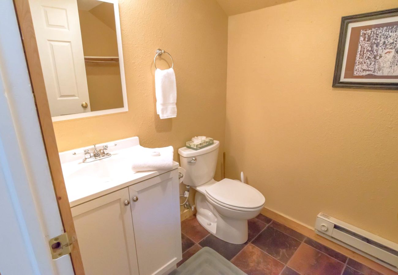 House in Frisco - Mtn Meadow Lodge, Hot Tub - Hike, Ski, Play!