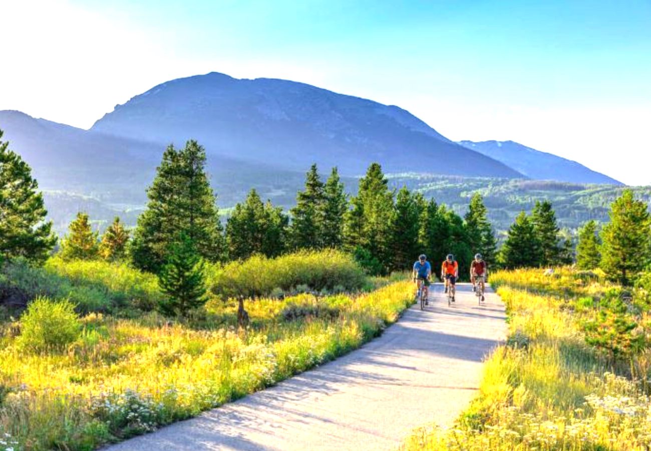House in Frisco - Mtn Meadow Lodge, Hot Tub - Hike, Ski, Play!