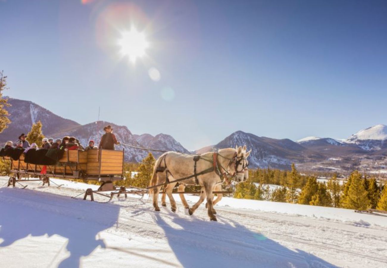 House in Frisco - Mtn Meadow Lodge, Hot Tub - Hike, Ski, Play!