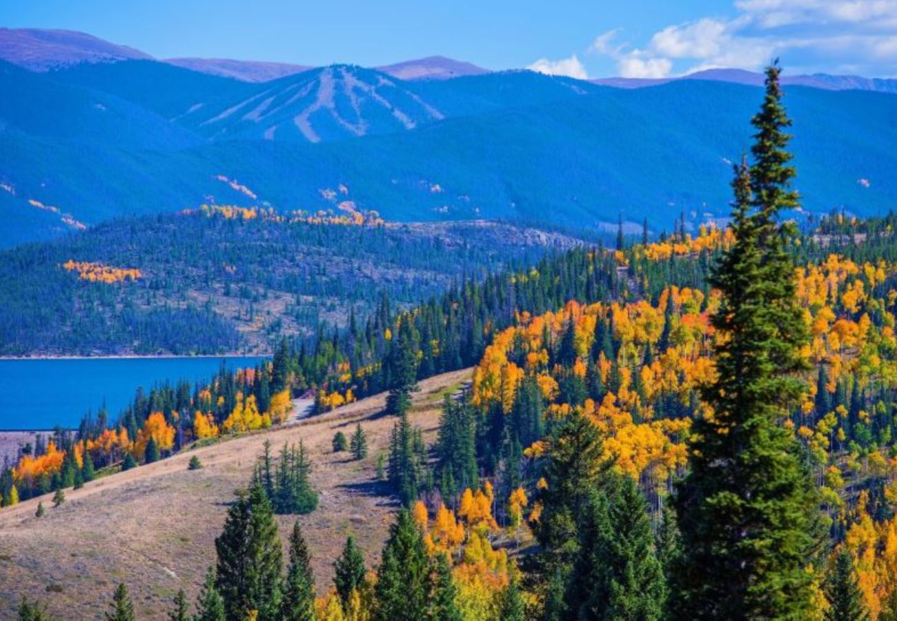 House in Frisco - Mtn Meadow Lodge, Hot Tub - Hike, Ski, Play!