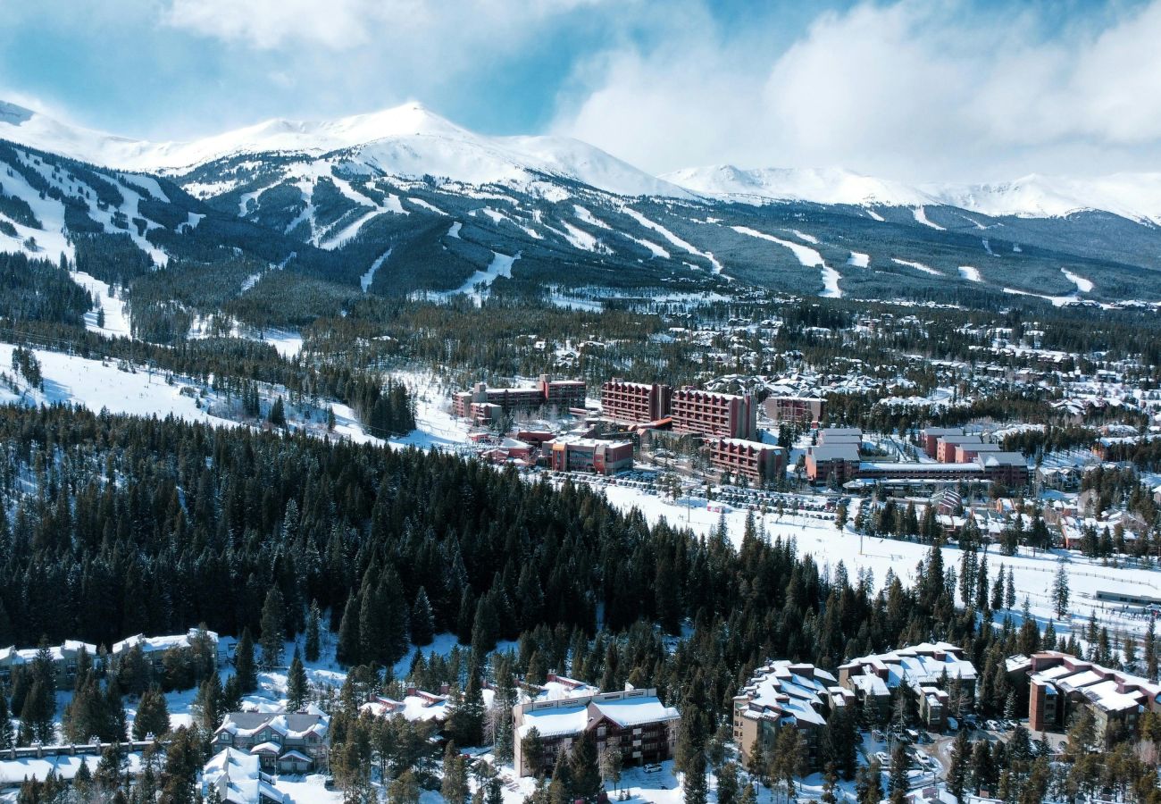 Townhouse in Breckenridge - Mountain Views & Private Hot Tub Near Peak 10
